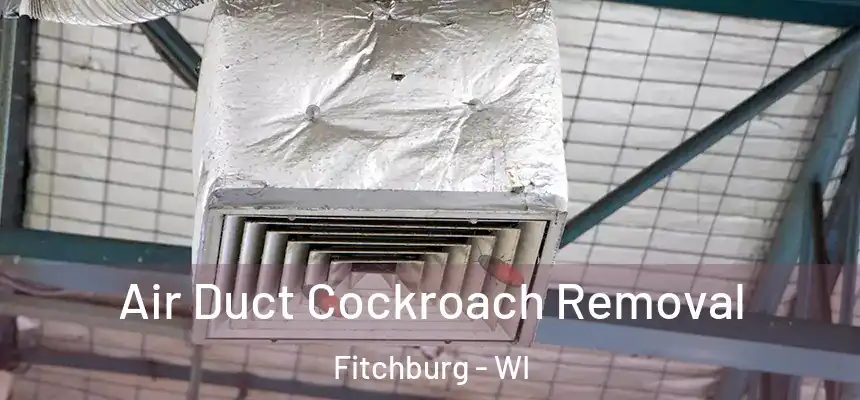  Air Duct Cockroach Removal Fitchburg - WI