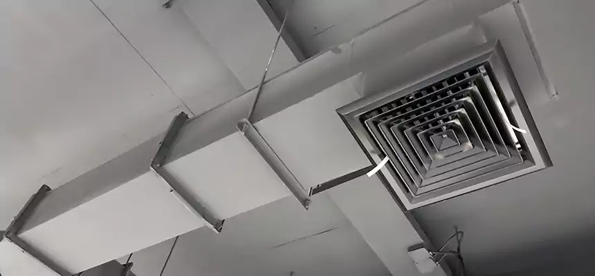 Our Rodent Droppings In Vents Services in Fitchburg, WI