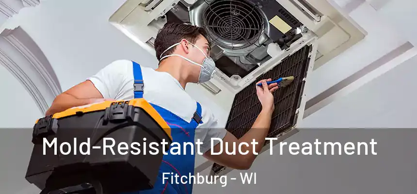  Mold-Resistant Duct Treatment Fitchburg - WI