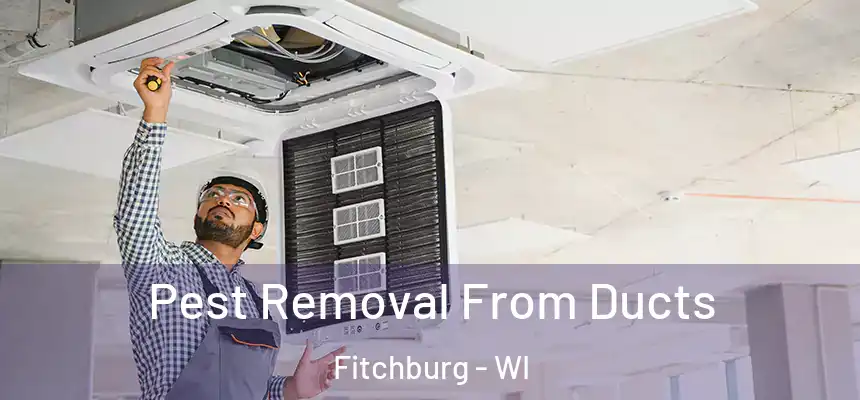 Pest Removal From Ducts Fitchburg - WI
