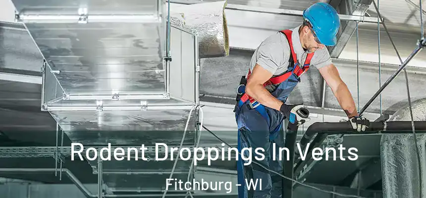 Rodent Droppings In Vents Fitchburg - WI