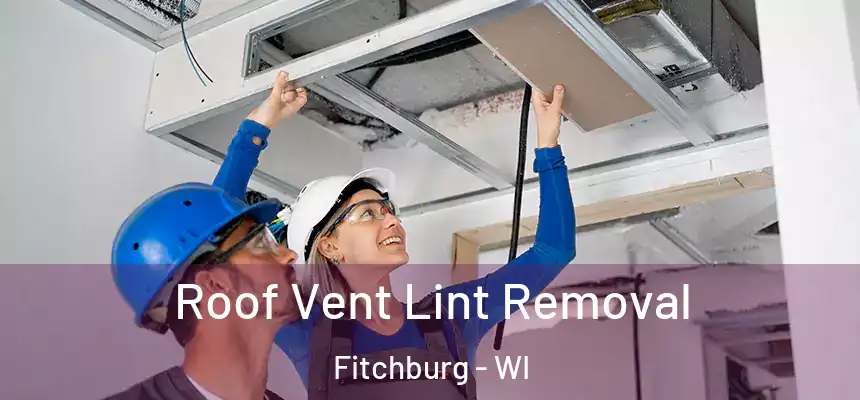  Roof Vent Lint Removal Fitchburg - WI