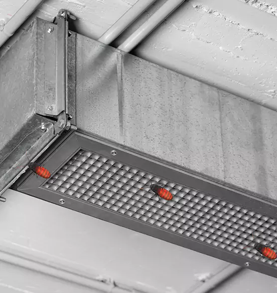 About Air Duct Cockroach Removal in Fitchburg, WI